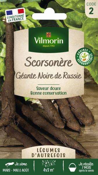 Potagères - Scorsonère Géante Noire de Russie - Légumes d'Autrefois - PACKAGING_RECTO